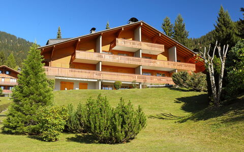 Cristel 2: Cielo, Pianta, Costruzione, Albero, Paesaggio Naturale, Finestra, Casa, Lotto, Legna, Larice