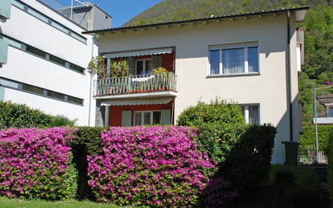 Altorfer: Fiore, Pianta, Cielo, Costruzione, Proprietà, Finestra, Casa, Erba, Immobiliare, Groundcover