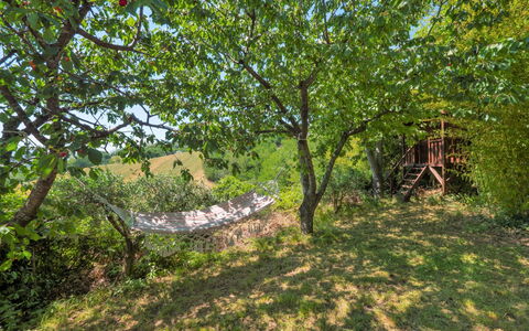 Casale Antica Pietra: Pianta, Comunita 'Impianto, Paesaggio Naturale, Legna, Albero, Tronco, Lotto, Shade, Ramoscello, Deciduo