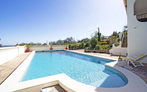 Vista: Acqua, Pianta, Costruzione, Cielo, Giorno, Proprietà, Blu, Azzurro, Piscina, Grattacielo