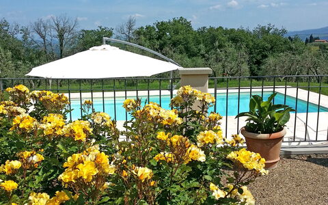 Villa Gaville: Fiore, Giardino, Pianta, Botanica, Giallo, Arbusto, Gazebo, Baldacchino, Giardino Botanico, Primavera