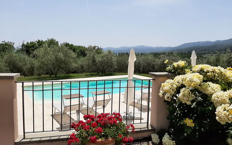 Villa Gaville: Fiore, Pianta, Cielo, Acqua, Vaso Di Fiori, Pianta Della Casa, Albero, Paesaggio, Immobiliare, Rettangolo