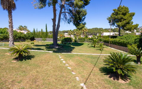 Cala Vista: Pianta, Cielo, Proprietà, Comunita 'Impianto, Albero, Paesaggio Naturale, Vegetazione, Lotto, Shade, Arecales