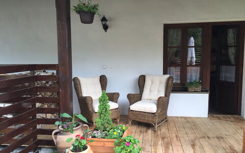 Huty: Pianta, Proprietà, Costruzione, Vaso Di Fiori, Pianta Della Casa, Legna, Interior Design, Illuminazione, Soggiorno, Casa