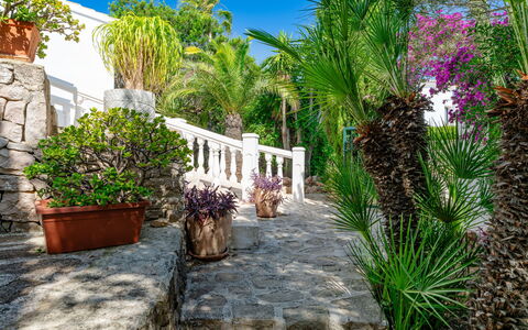Karima: Arbusto, Giardino, Vaso Di Fiori, Landscaping, Ricorrere, Pianta Della Casa, Shade, Hacienda