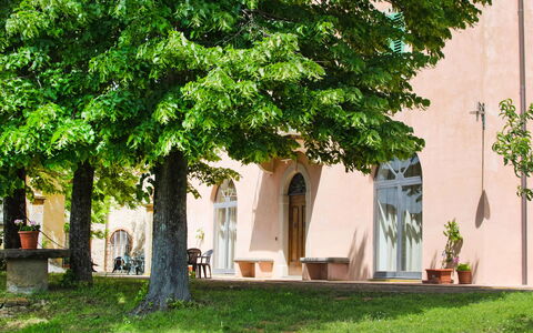 Barberino Valdelsa 155: Pianta, Costruzione, Finestra, Foglia, Albero, Casa, Shade, Erba, Tronco, Facciata