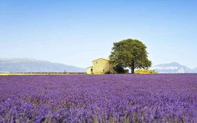 Case vacanze in Provenza